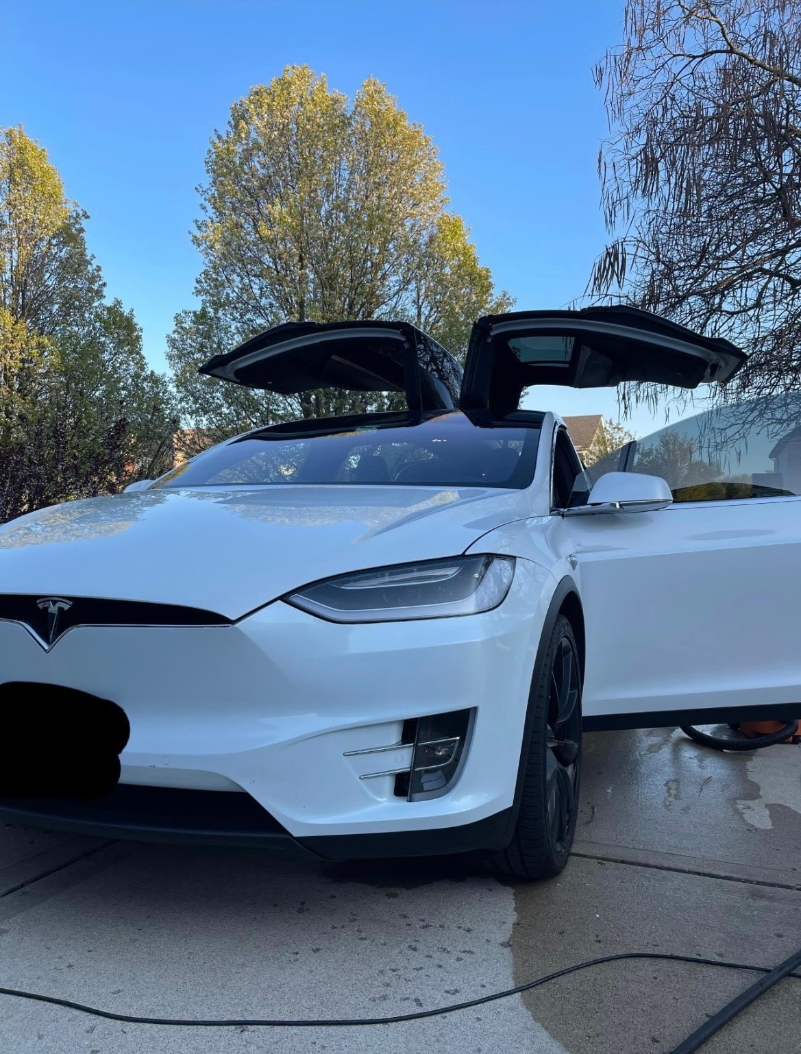 Tesla Model X with falcon doors after detail